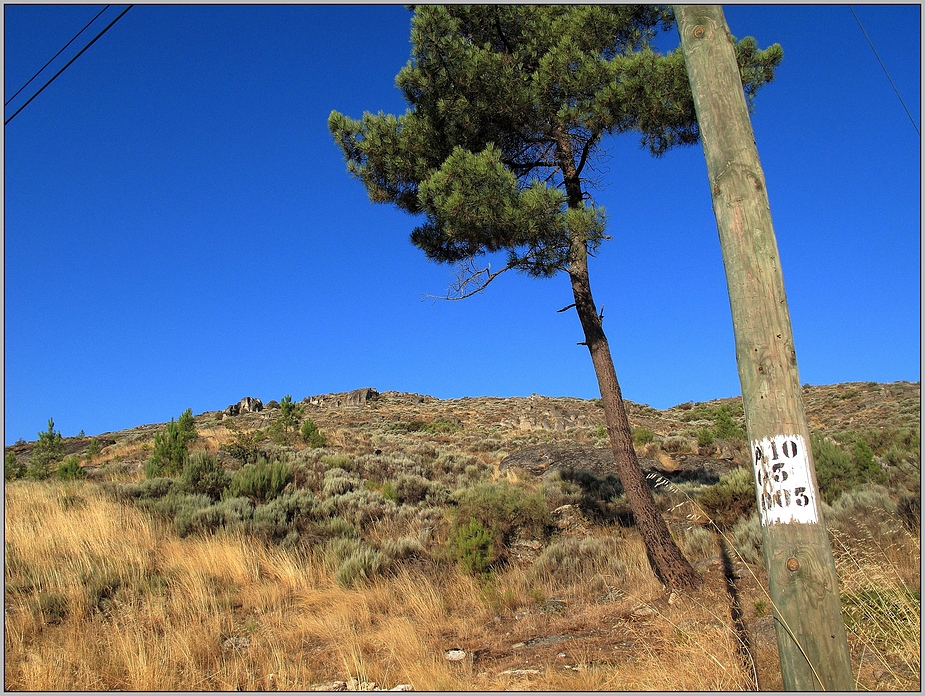 Serra da Estrela