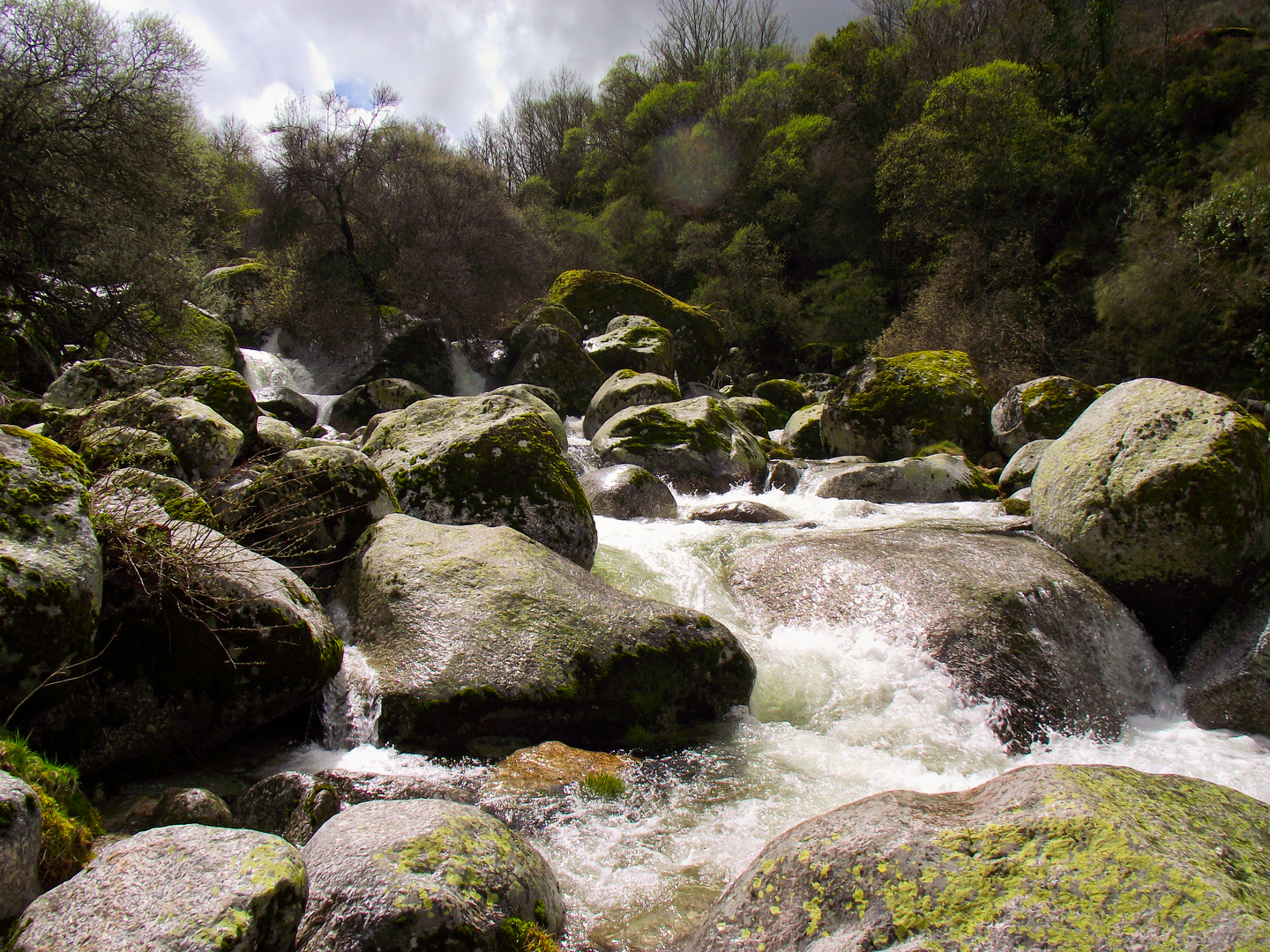 Serra da Estrela Mountain Waterfalls