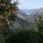 Serra da Estrela, Teil II