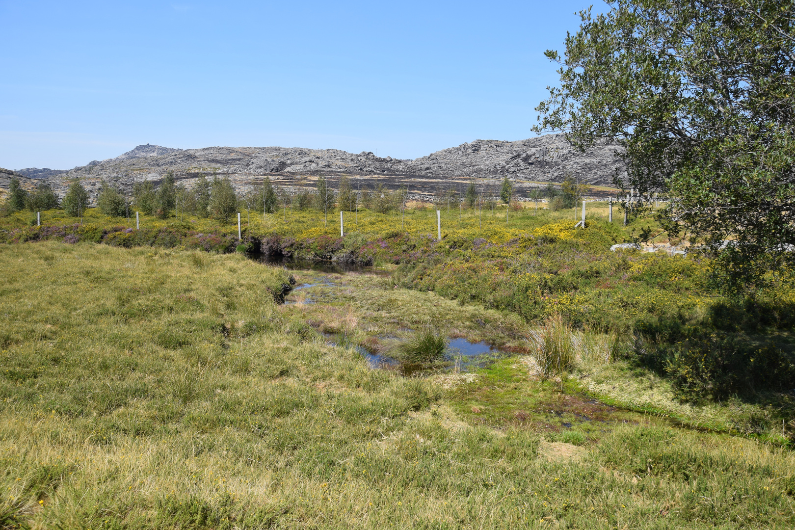 Serra da Freita