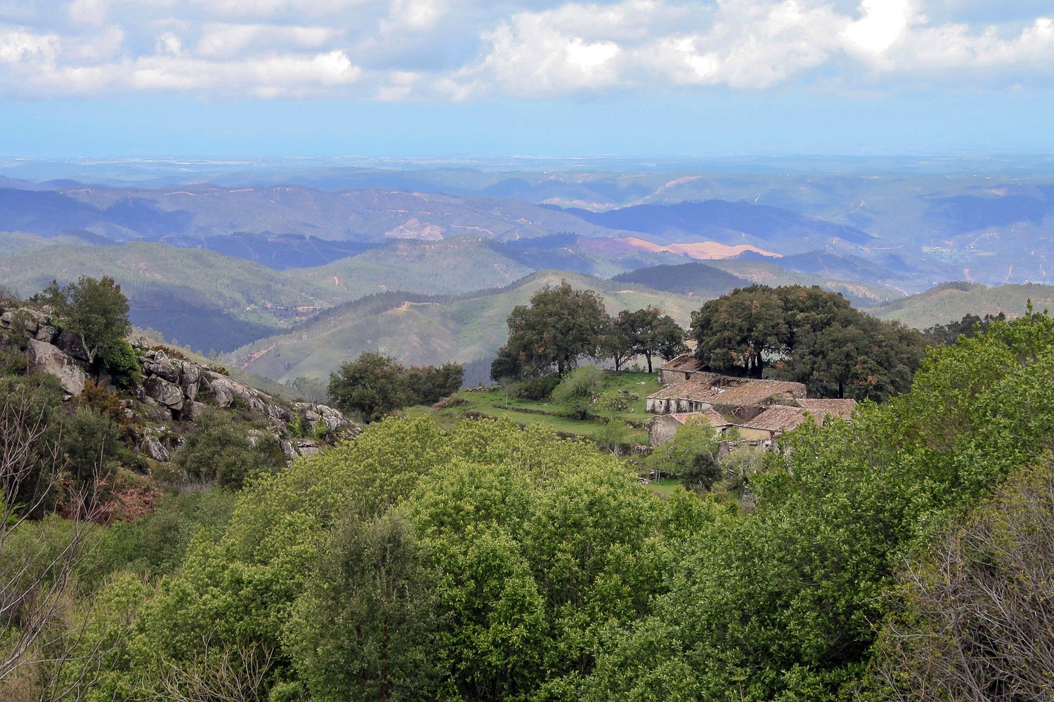 Serra de Monchique