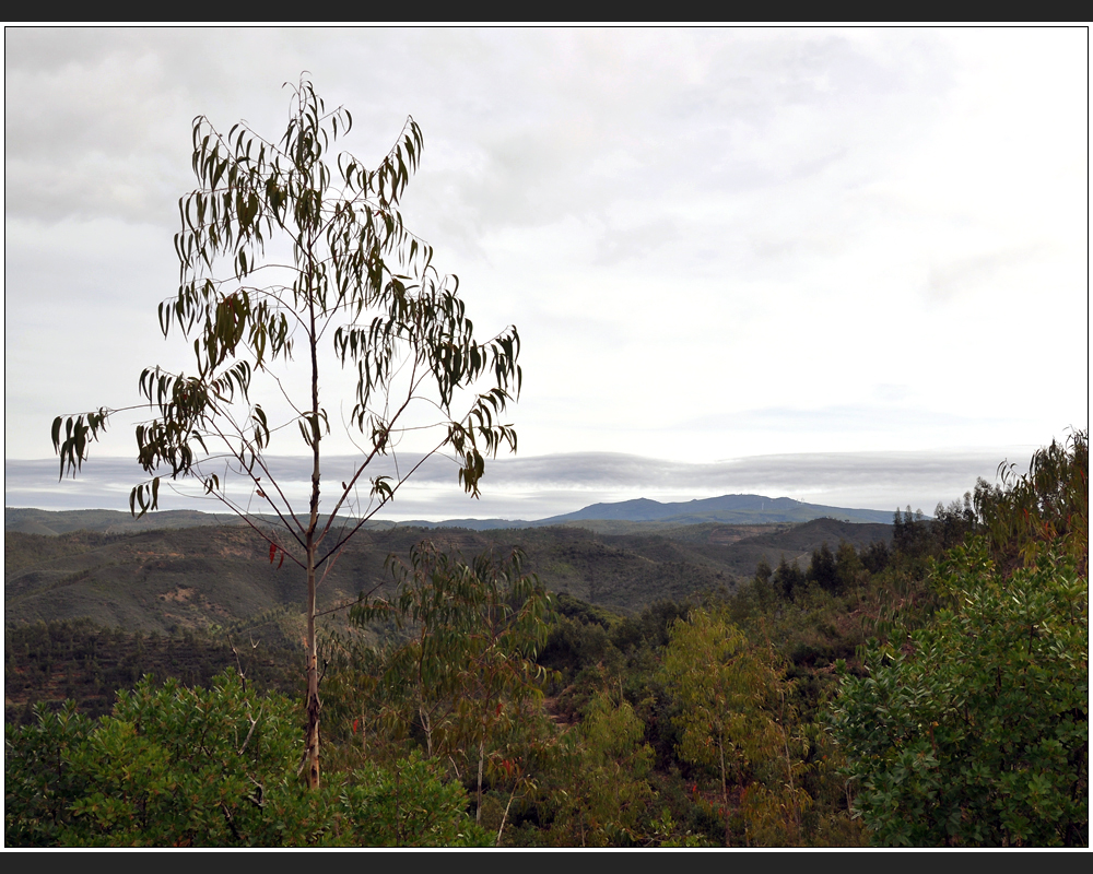 Serra de Monchique