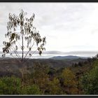 Serra de Monchique