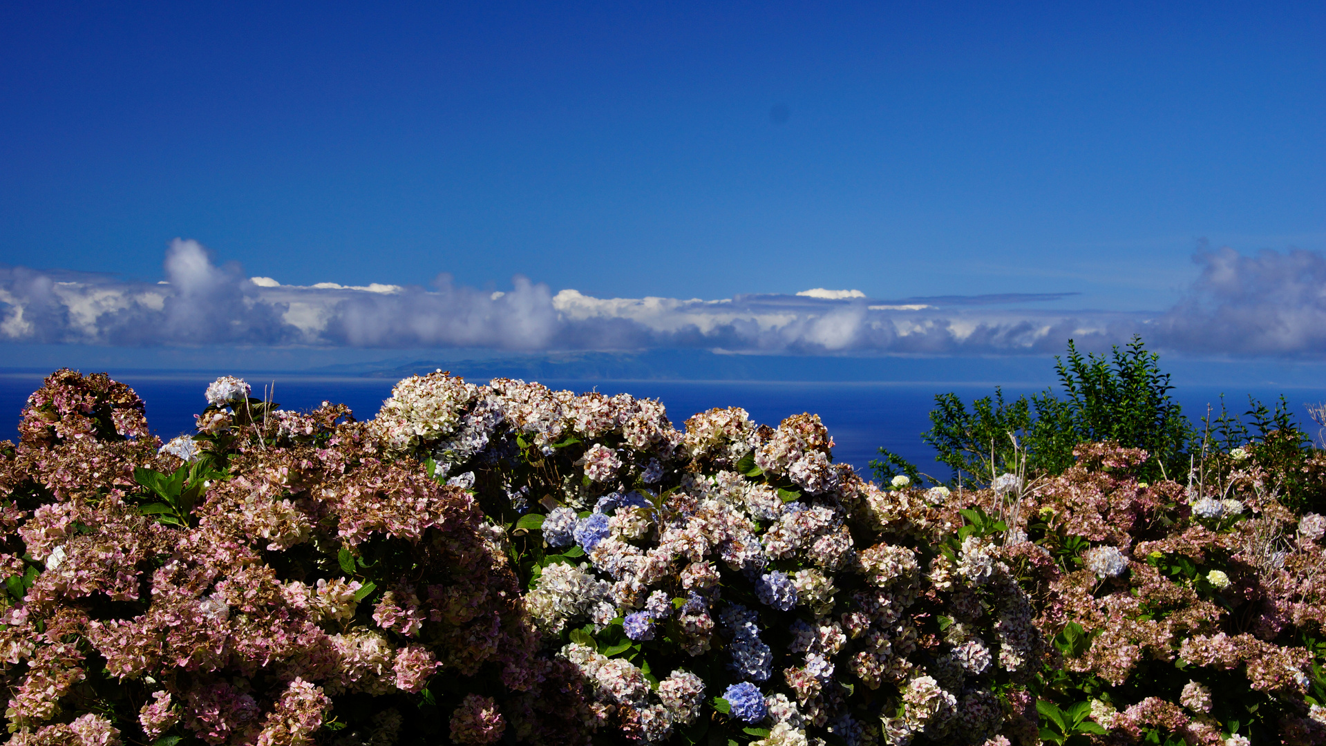 Serra de Santa Barbara 