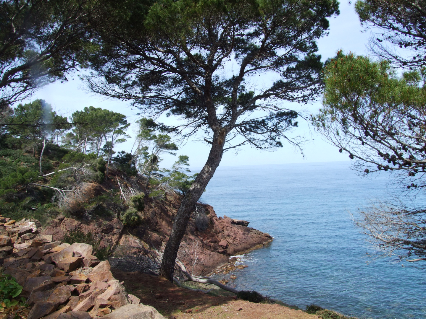 Serra de tramontana