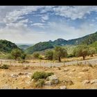 Serra de Tramuntana