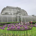 Serra di Kew Gardens