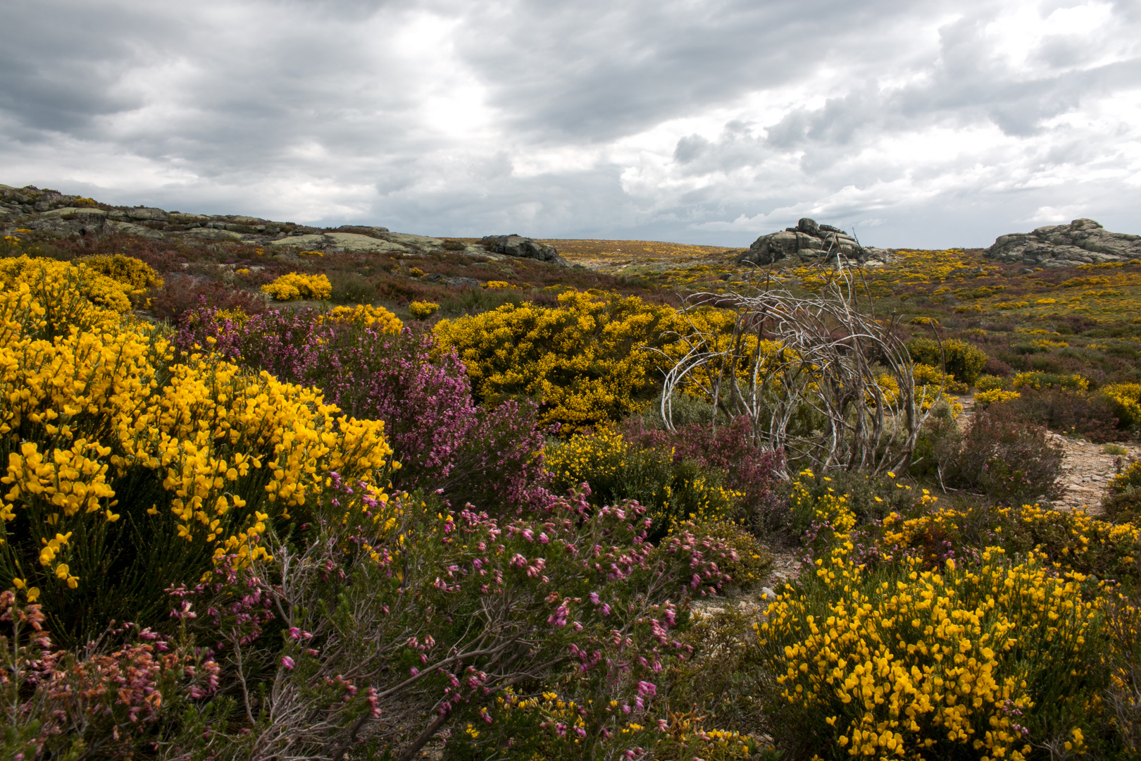 Serra do Estrela (Portugal)