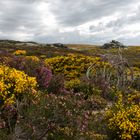 Serra do Estrela (Portugal)