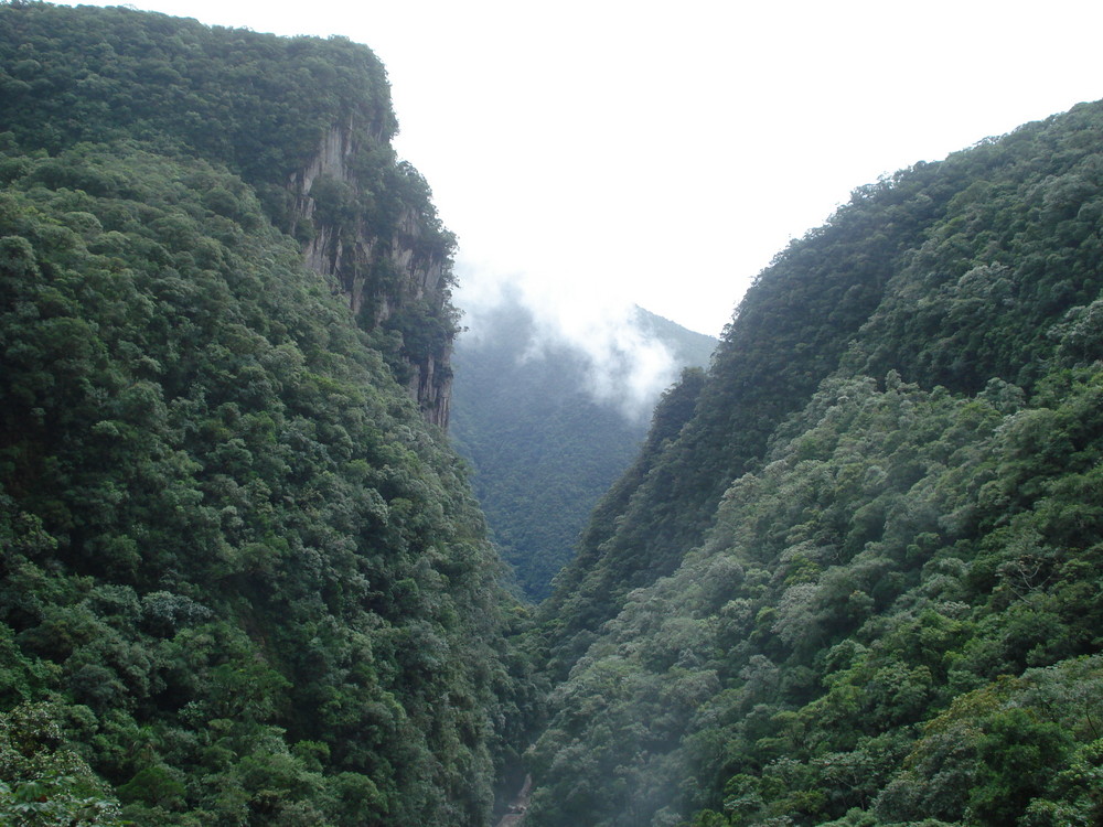 Serra do Mar