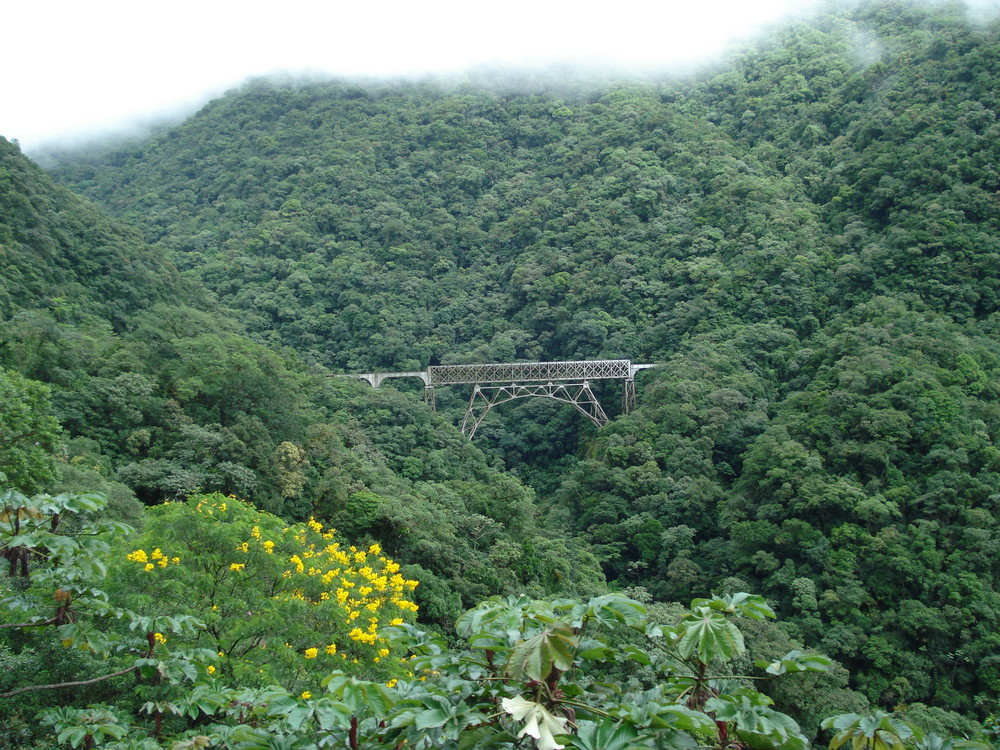 Serra do Mar Paranaguá/PR/ Brasil