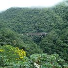 Serra do Mar Paranaguá/PR/ Brasil