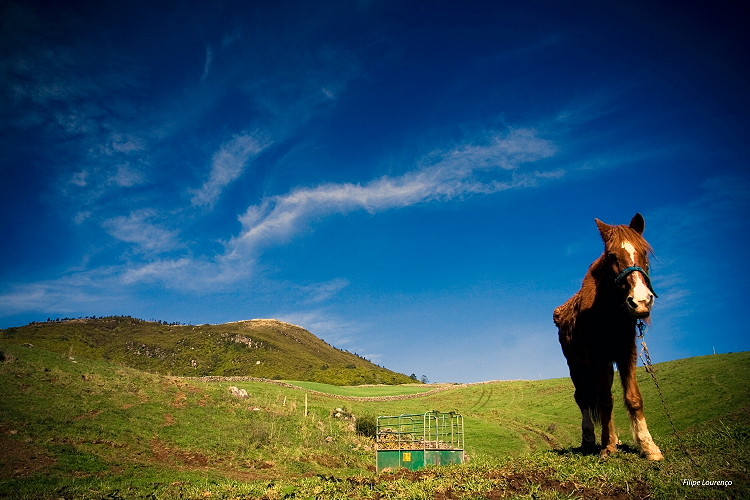 Serra do Morião