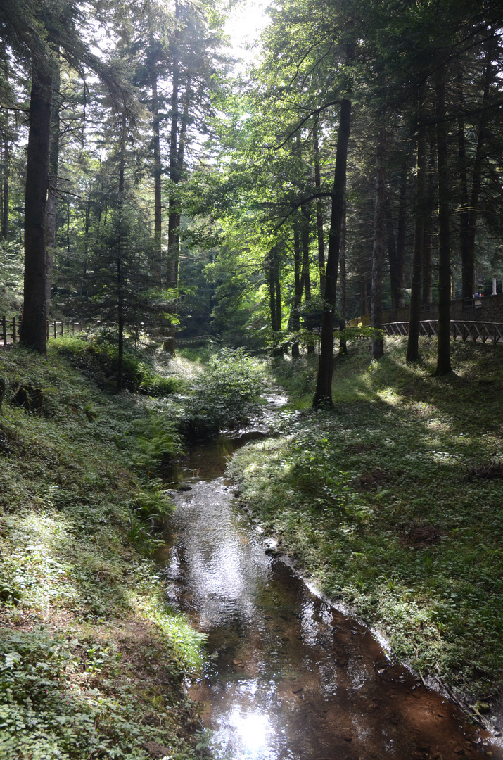 " Serra S. Bruno / Calabria "