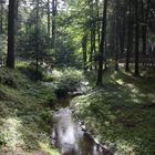 " Serra S. Bruno / Calabria "
