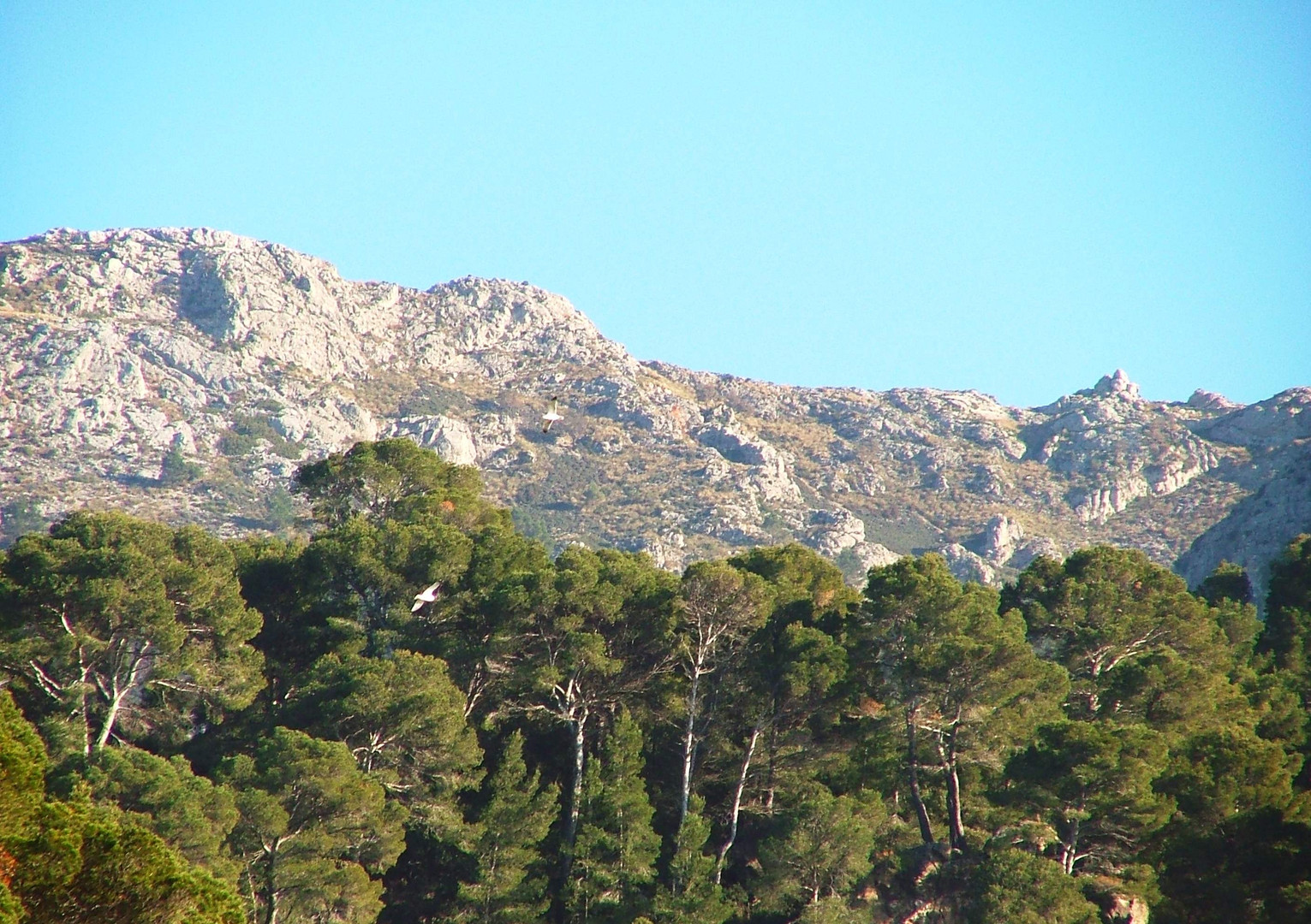 Serra_de_tramuntana-3