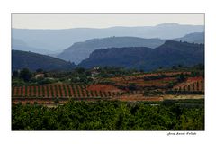 Serranía Baja (Bugarra, Gestalgar...)