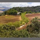 Serranía de Ronda 2