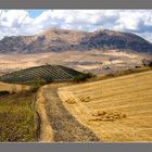 Serranía de Ronda 3