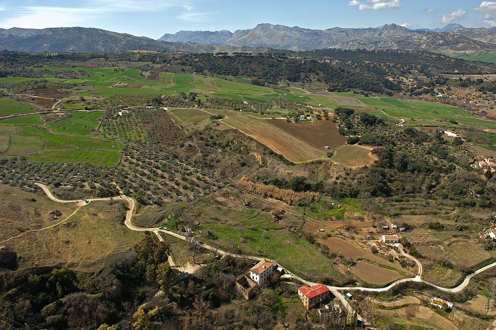 Serrania de Ronda