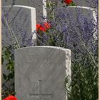 Serre cemetery 16 Somme