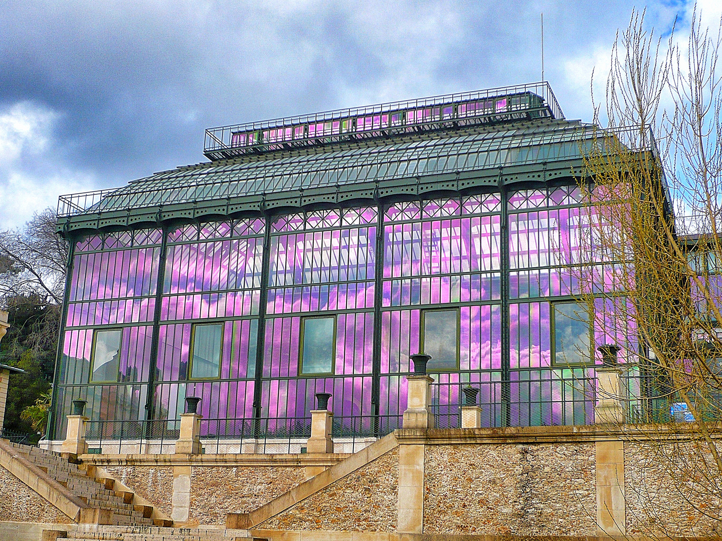 Serre du jardin des plantes Paris .