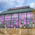 Serre du jardin des plantes Paris .