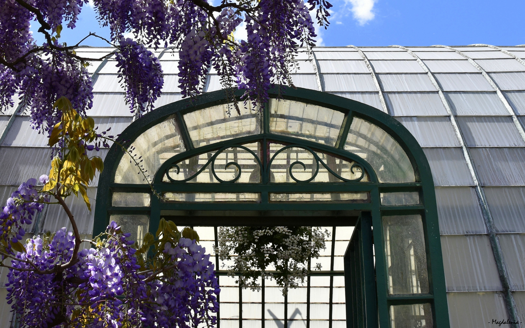 Serre Royale de Laeken