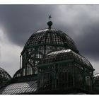 Serres royales de Laeken ...