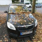 Serviervorschlag für den Herbst