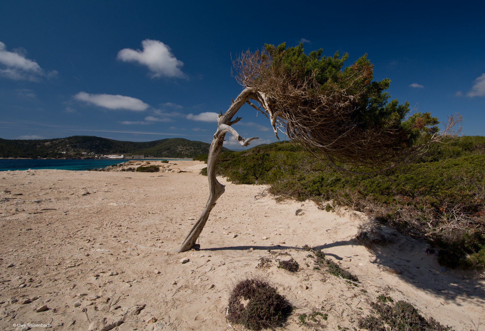 Ses Salines (5.)