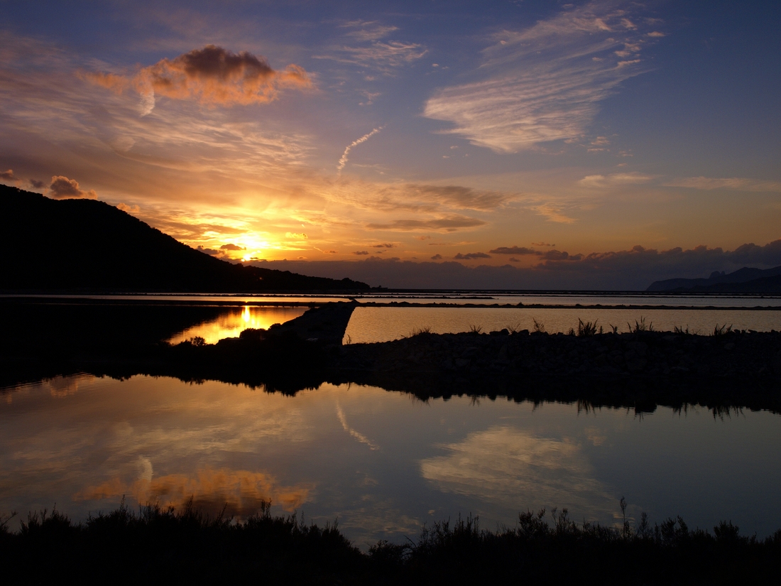 Ses salines