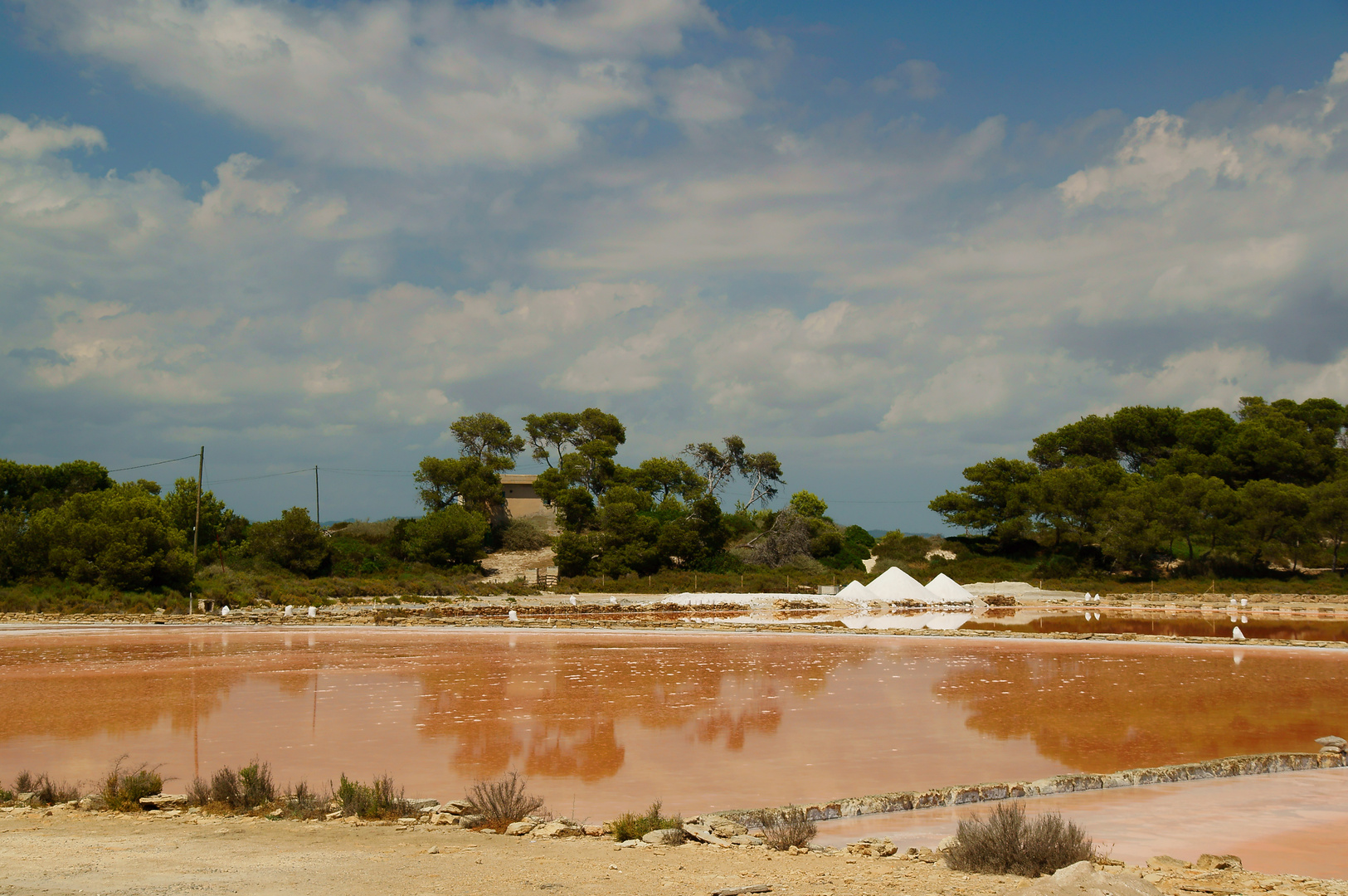 Ses Salines