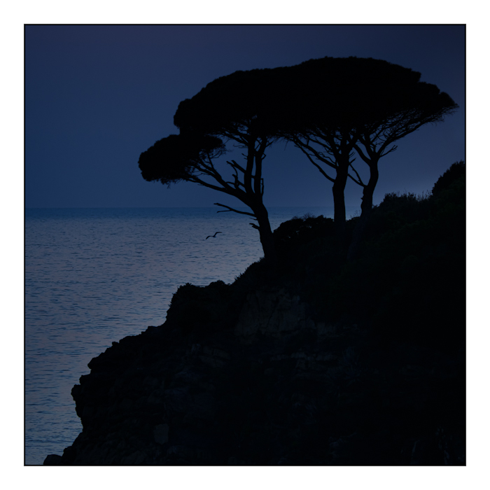 Sestri Levante