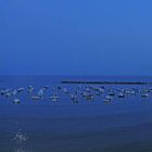 Sestri Levante Panorama