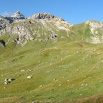 Sesvennahütte, 2256 m