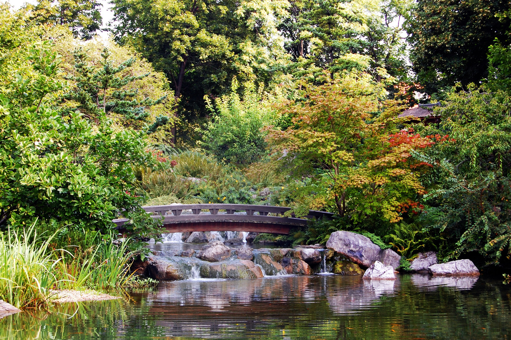 Setagaya Park