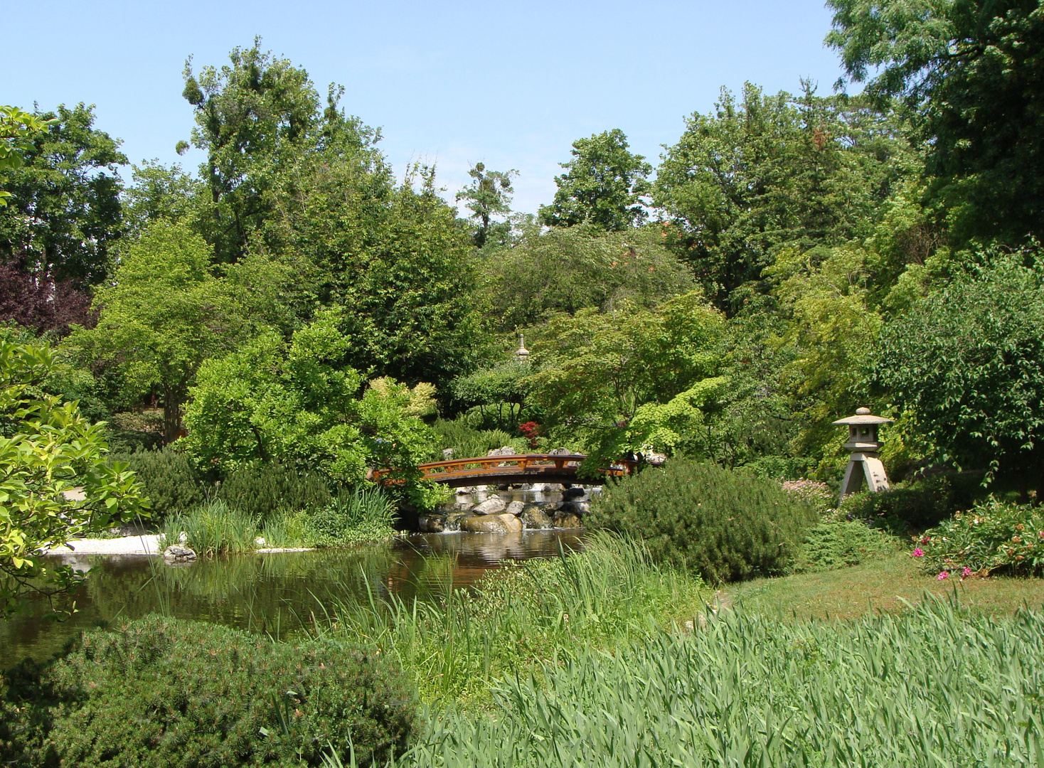 Setagaya Park, Vienna