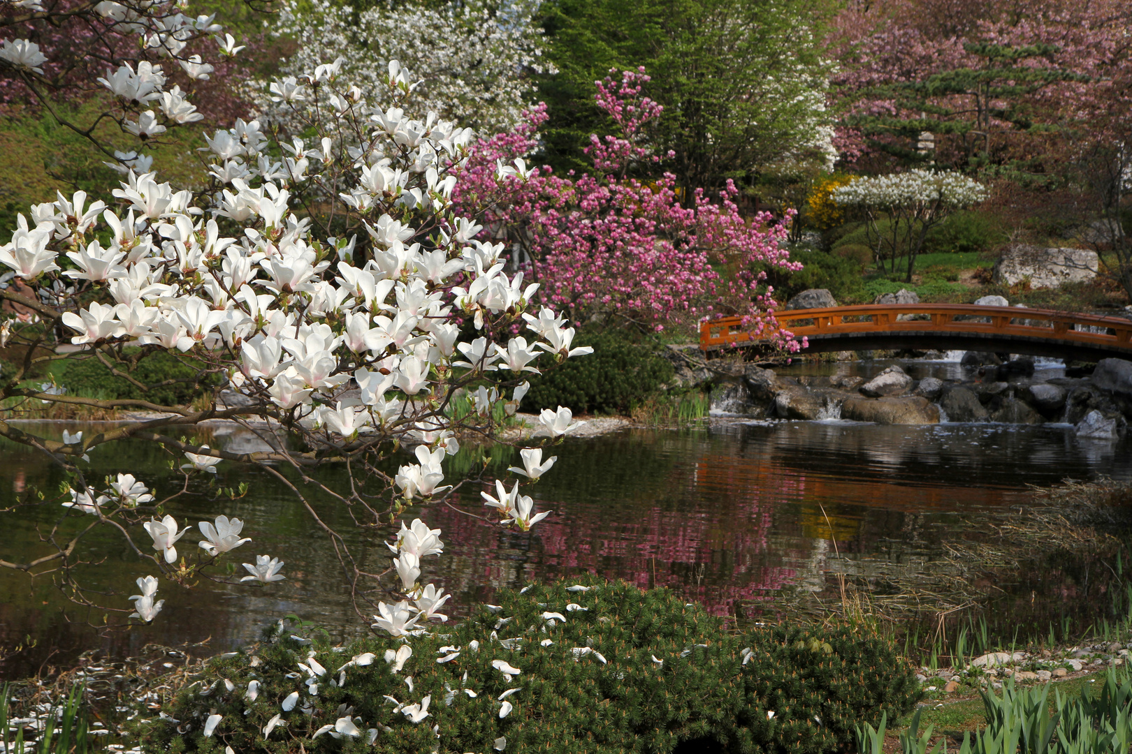 Setagaya Park, Wien