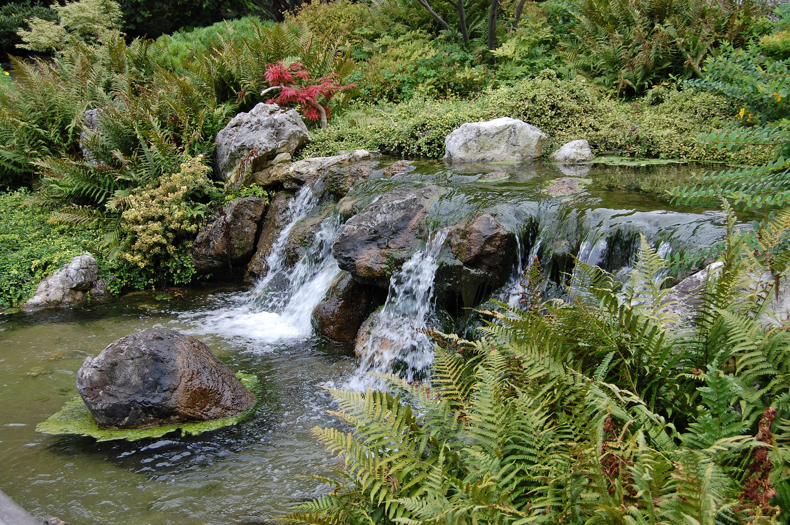 Setagayapark Foto & Bild naturkreativ, natur Bilder auf
