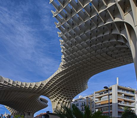 Setas de Sevilla No. 2