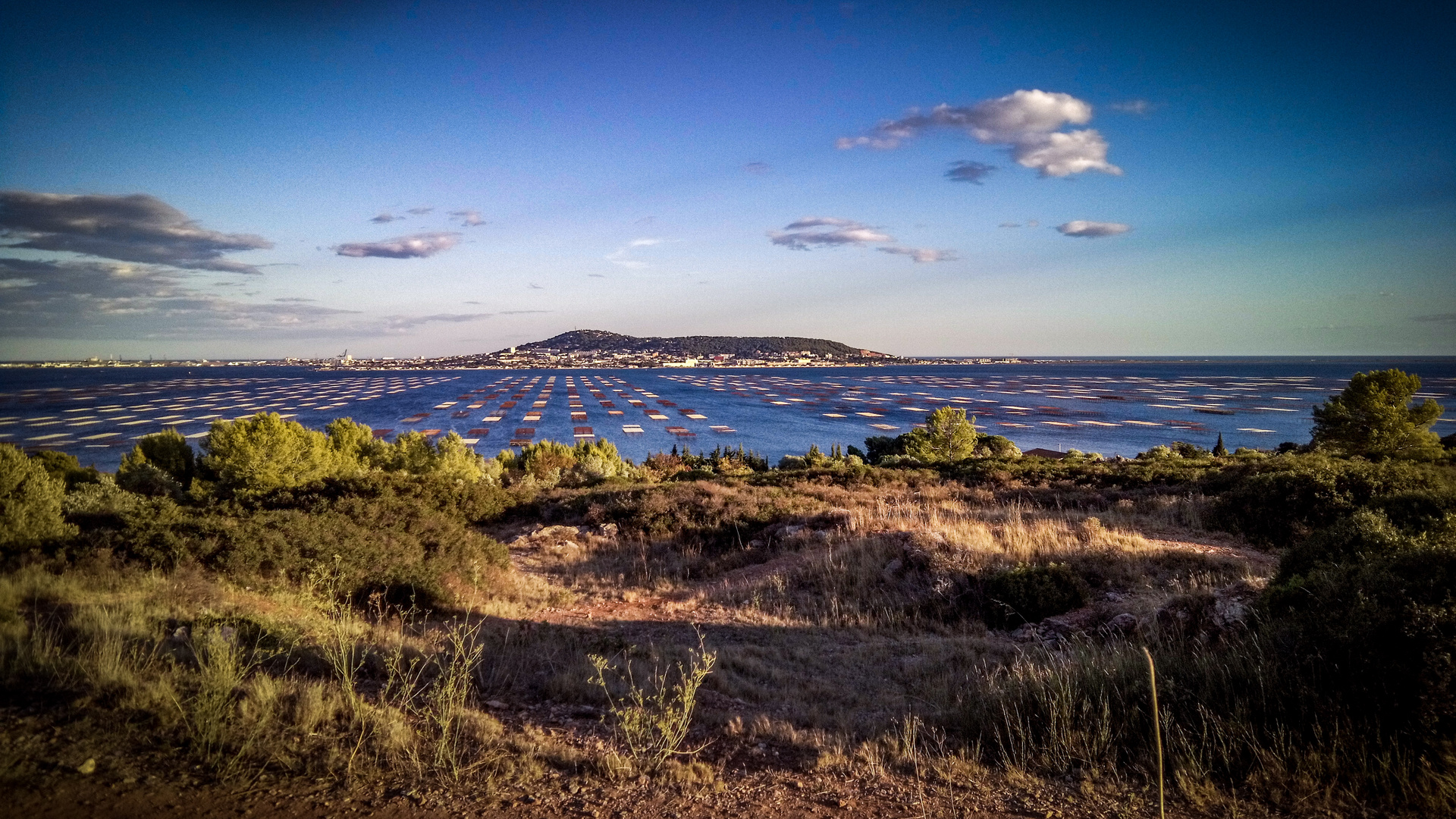 Sete - Etang de Thau - oyster park