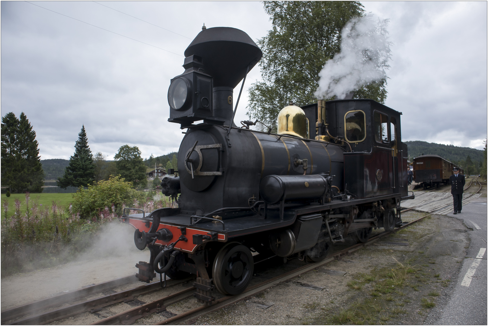 Setesdalsbanen / Røyknes (27.08.2017) #3