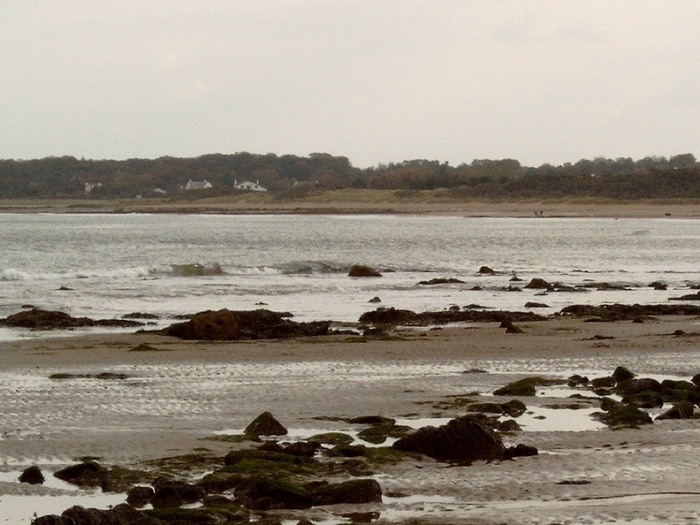 Seton Sands Beach