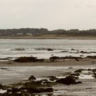 Seton Sands Beach