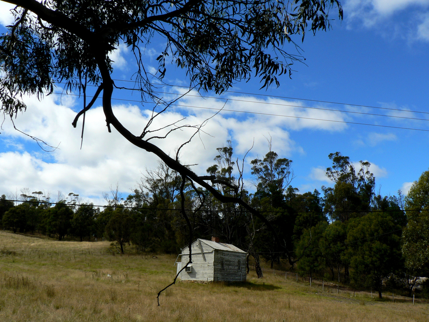 Settlers Home ca. 1820 - Tasmanien