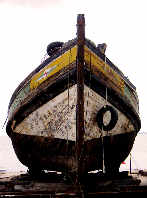 Setubal fishing port #2