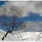 Seul au milieu de la montagne !