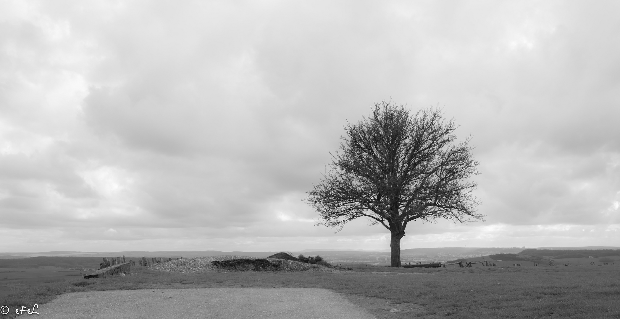 Seul contre vents et pluies