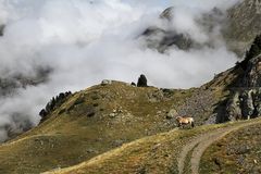 seul dans la montagne !